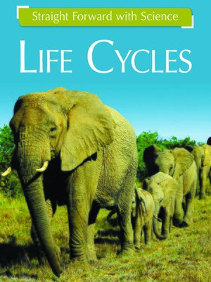 cover image of Life Cycles